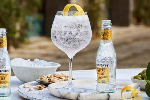 Ultimate gin and tonic